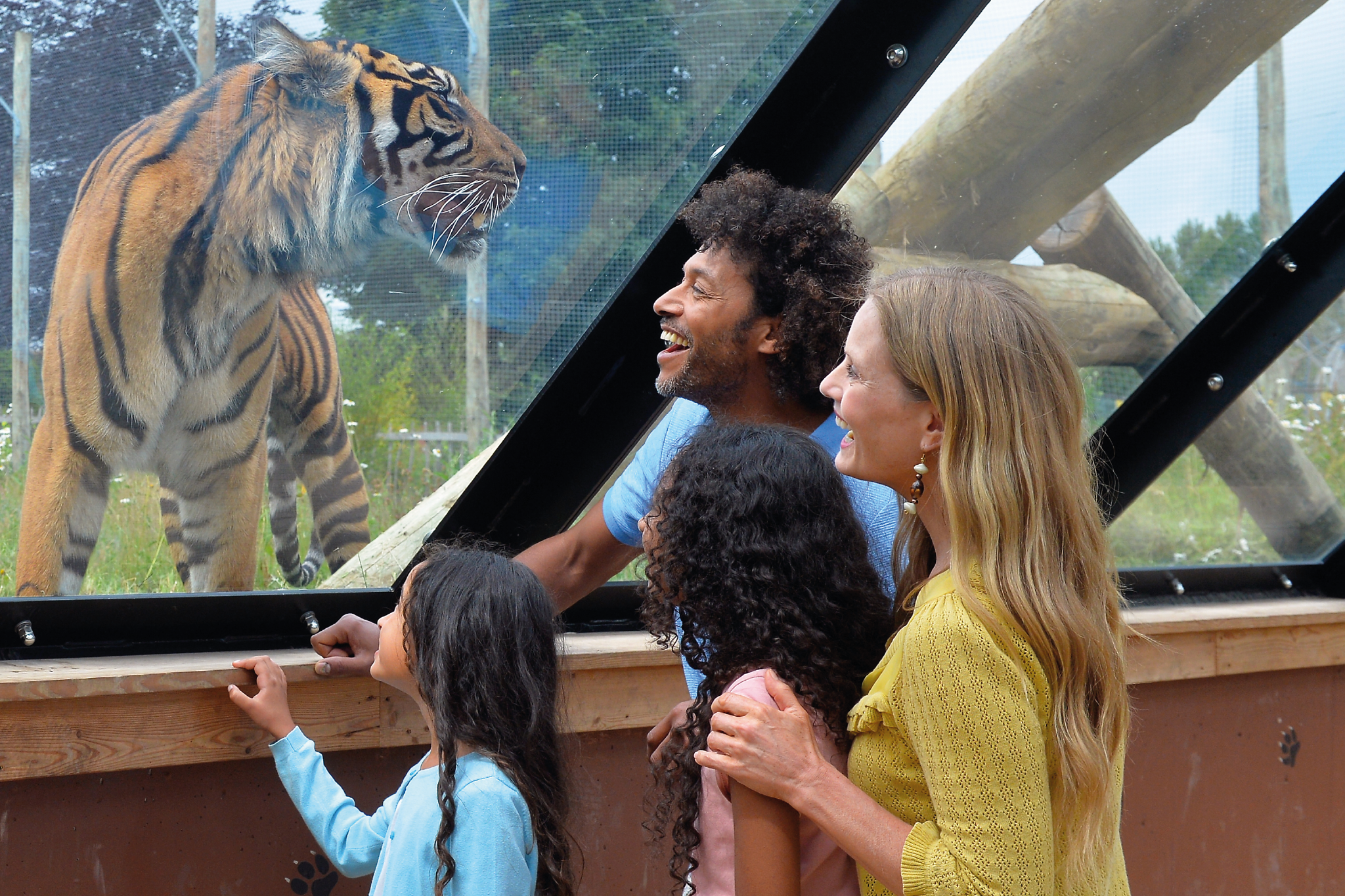 /sites/default/files/2023-08/TZ_DOWTK_animal_interaction_1.png