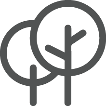 stats icon