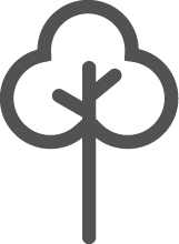 stats icon