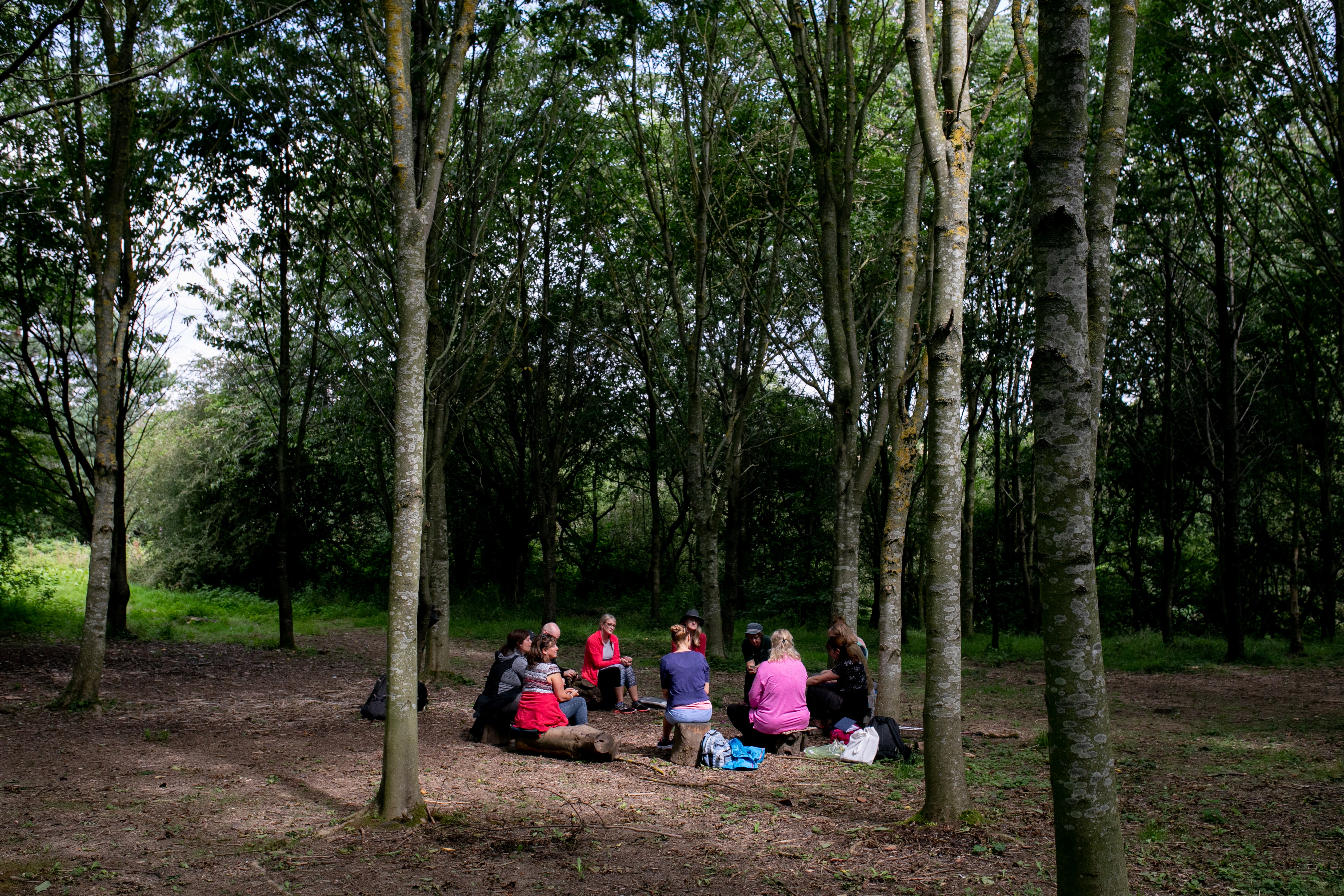 Forest Bathing