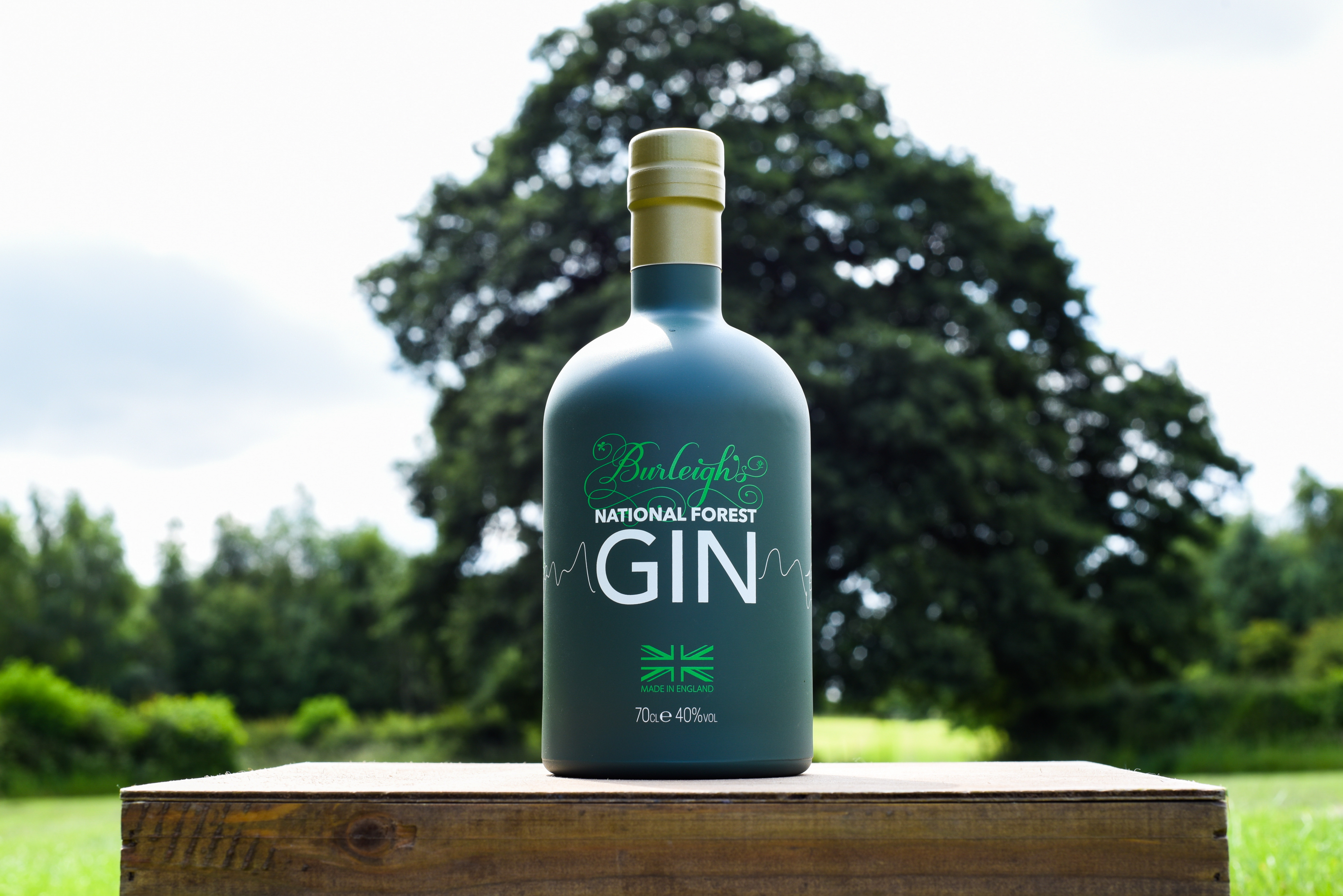 bottle of national forest gin