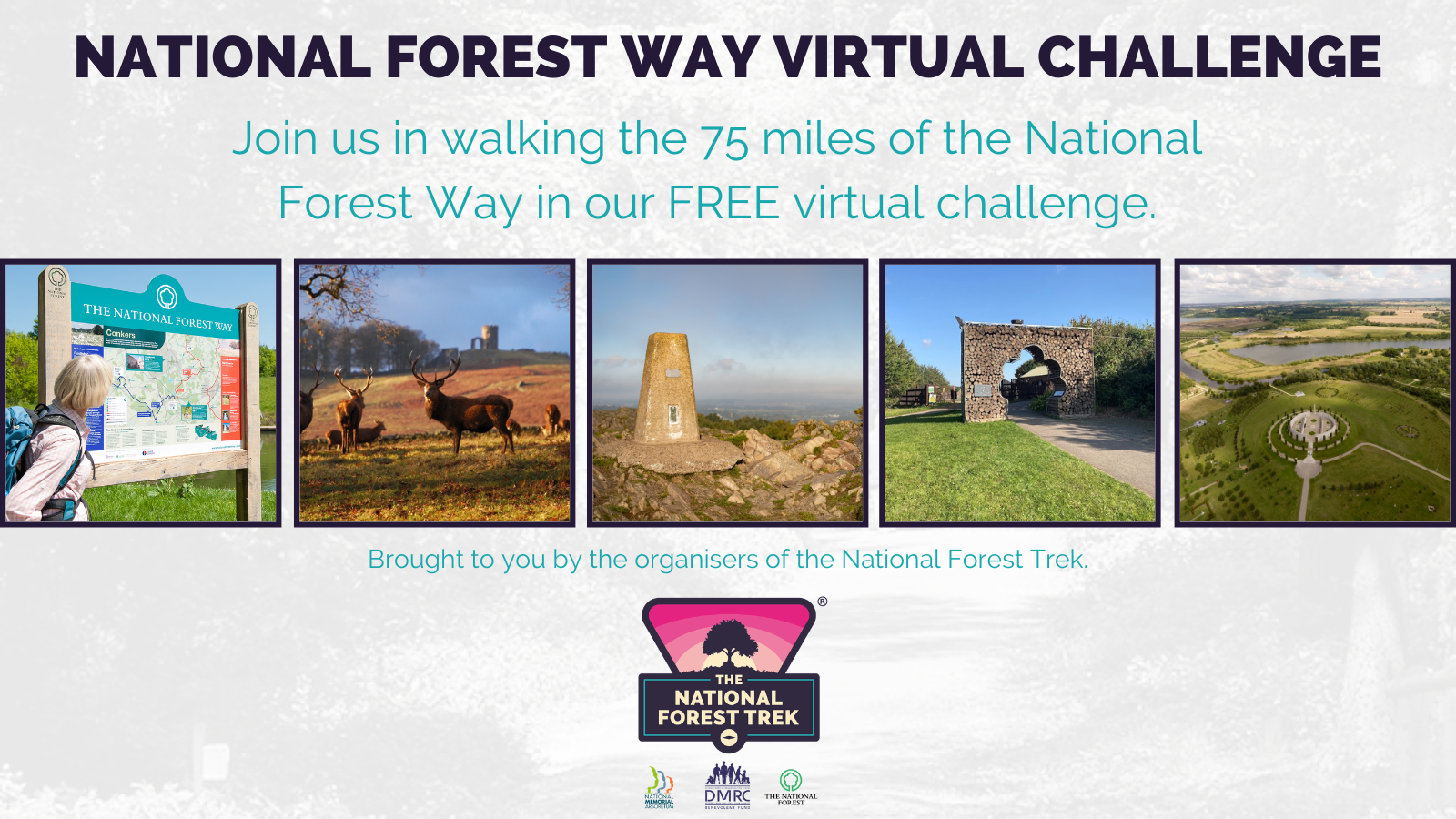 Virtual Walking Challenge