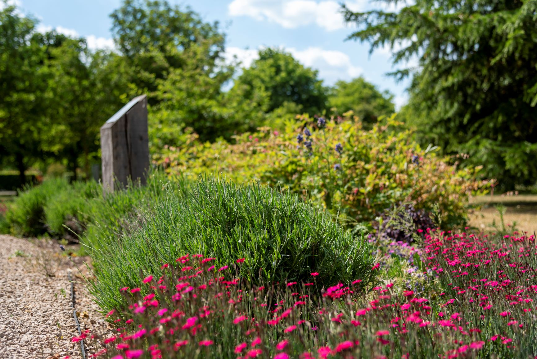 Seasonal Planting