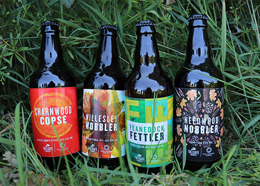 Image of the National Forest Beer Collection