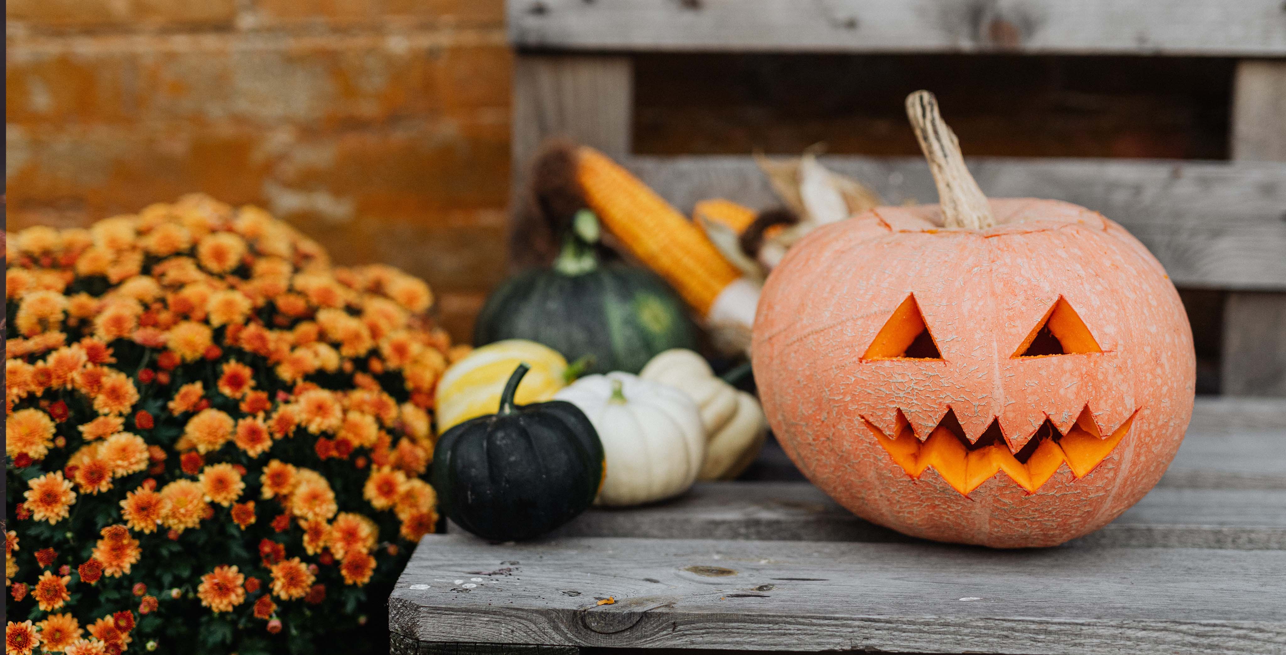 Pumpkin and halloween decorations