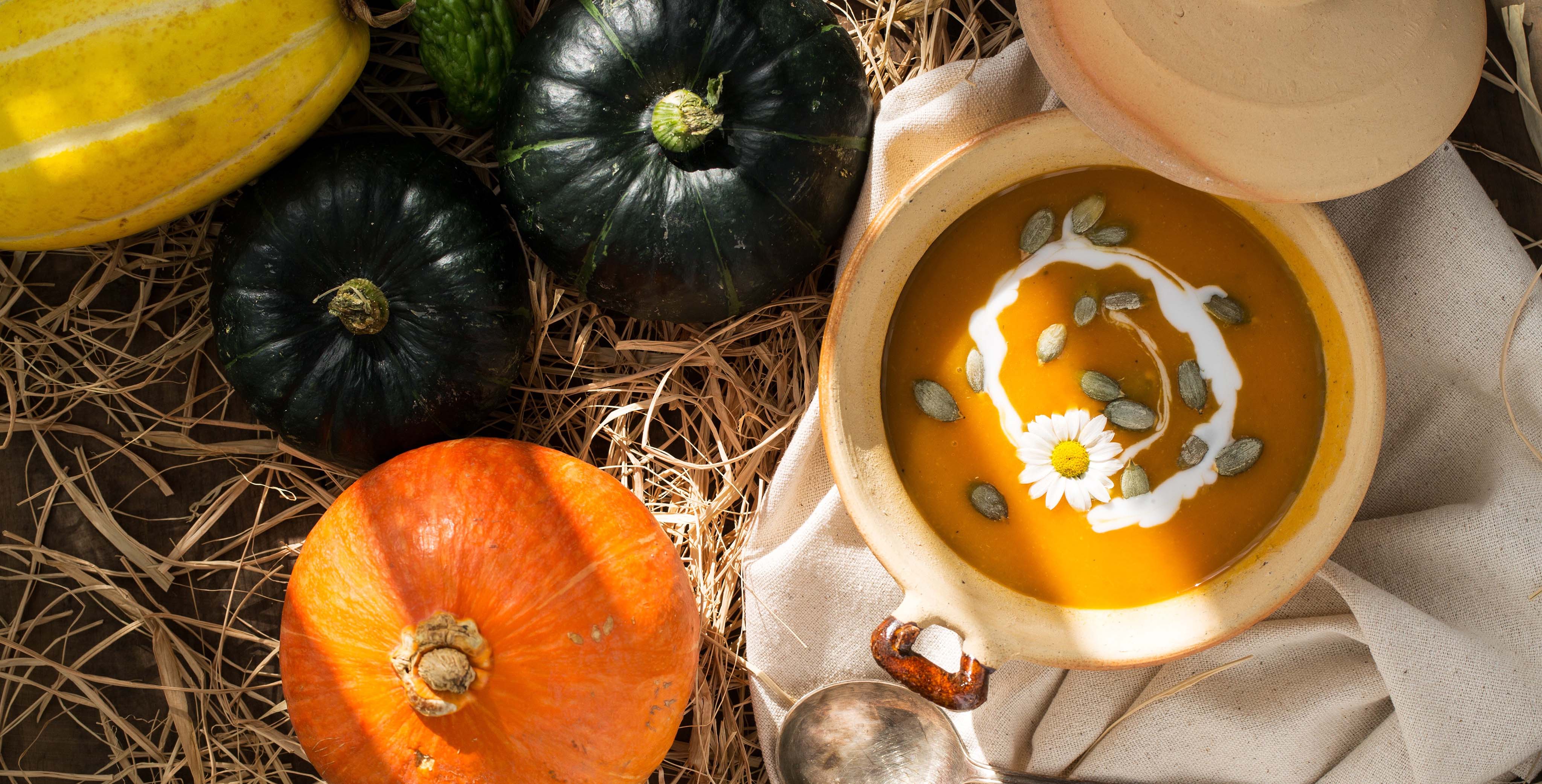 pumpkin soup