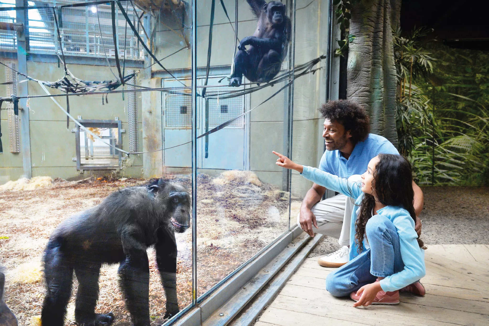 /sites/default/files/2023-08/TZ_DOWTK_animal_interaction_2.png