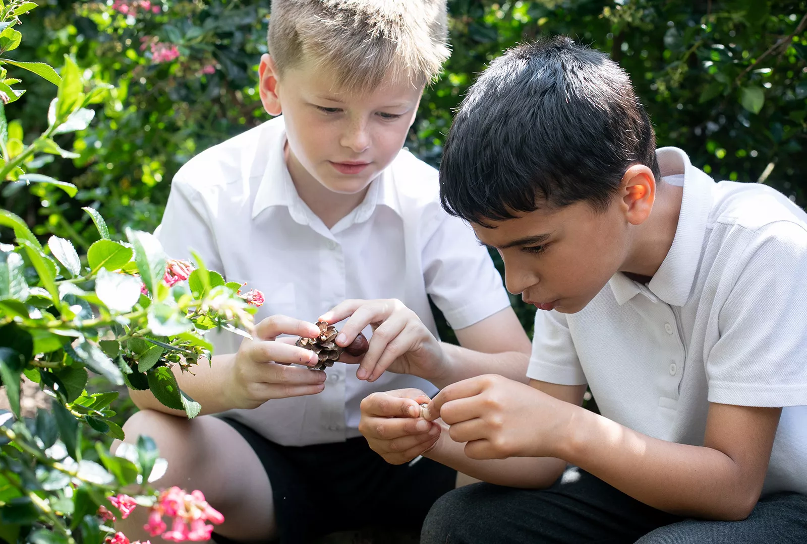 Outdoor learning