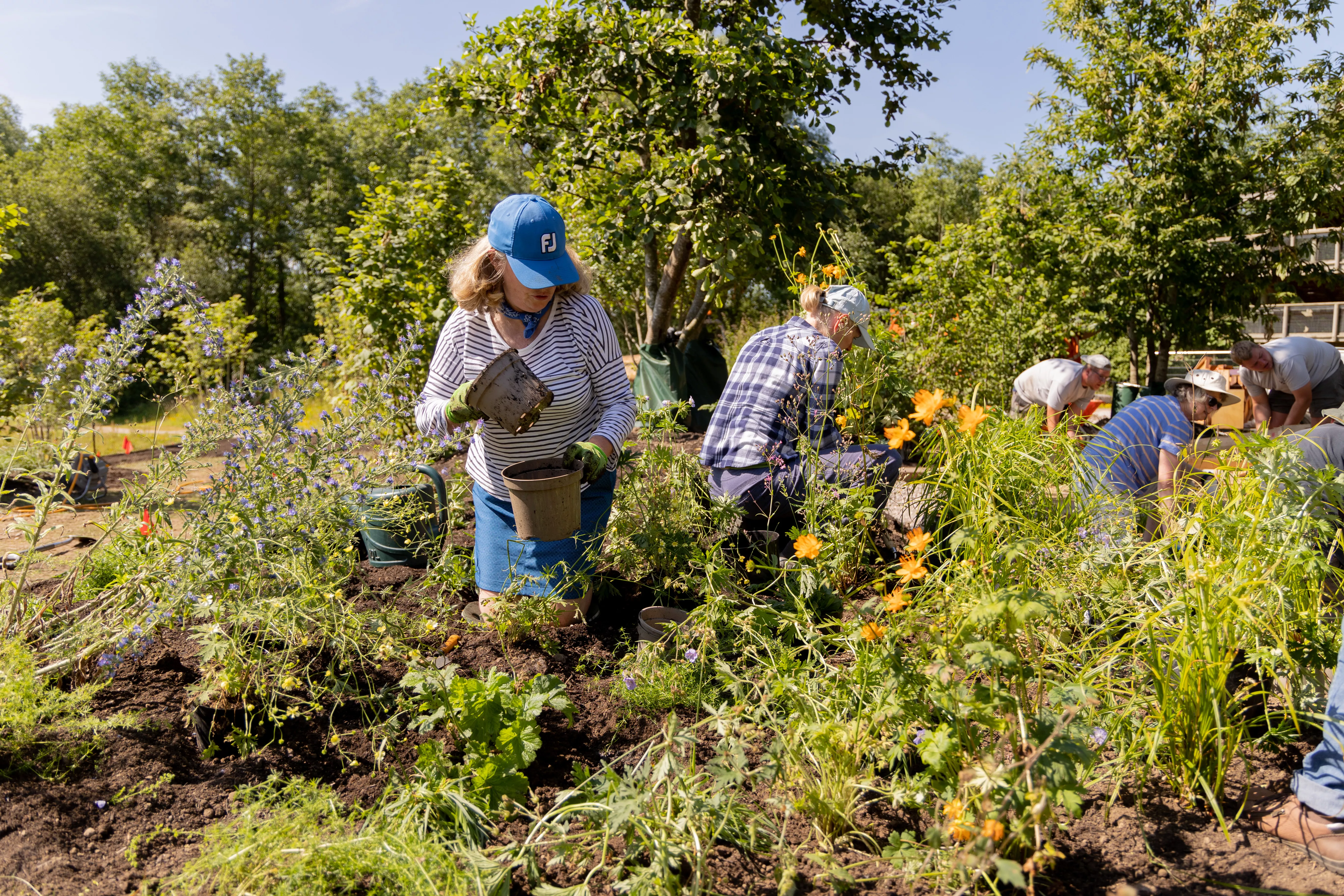 Community woodlands and volunteering