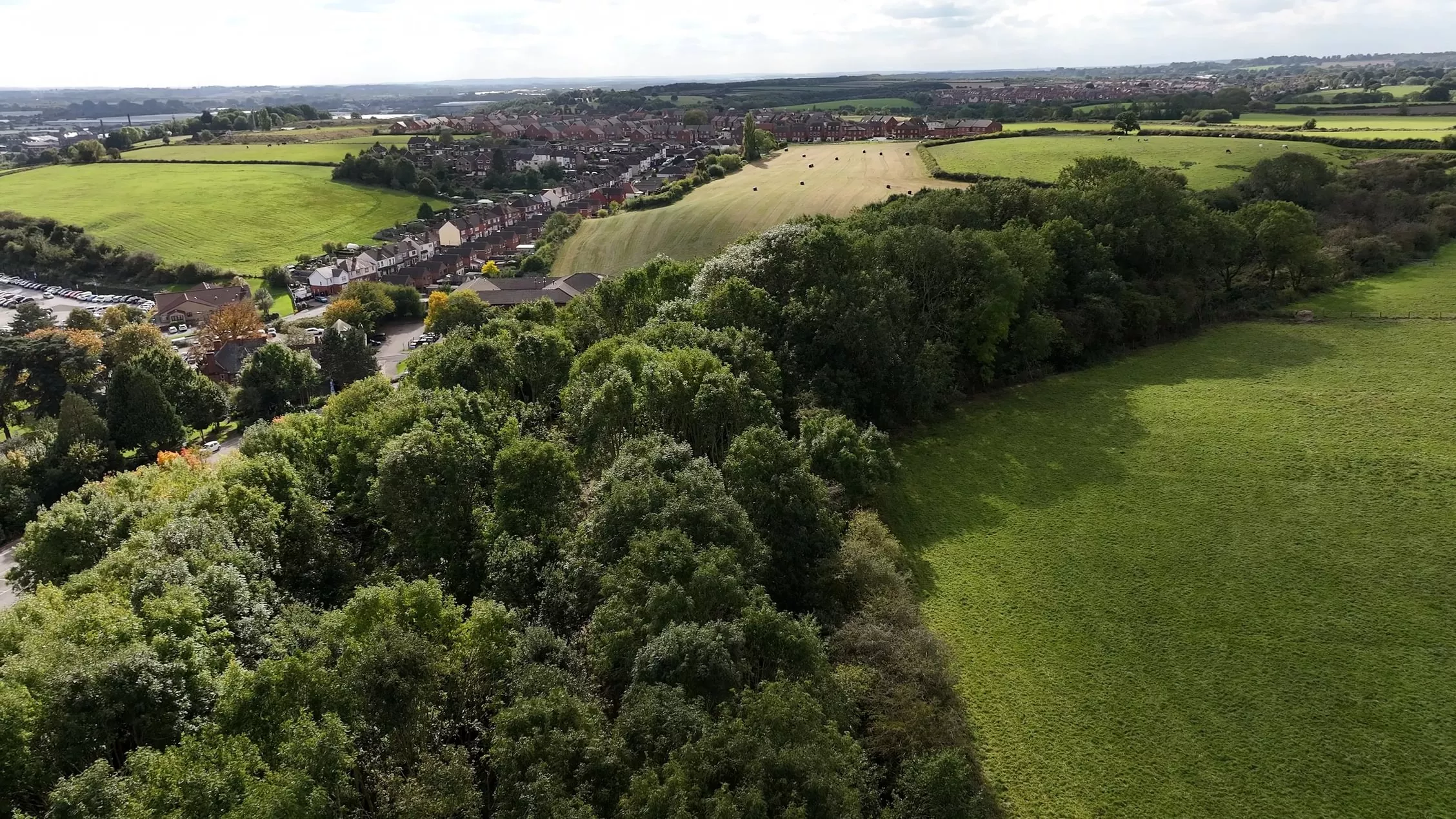 The Midlands Forest Network (MFN) 