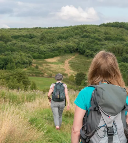 /sites/default/files/2023-07/Battlestead%20Hill%20Walking%20National%20Forest%20Way%20Nat%20Forest%20Walking%20Festival%20Credit%20Diana%20Jarvis.jpg
