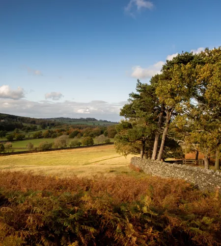 /sites/default/files/2023-08/Bradgate%20Park%20-%20Large.jpg