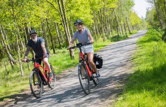 /sites/default/files/2023-08/EBikes%20in%20the%20National%20Forest%20credit%20VisitEngland.jpg