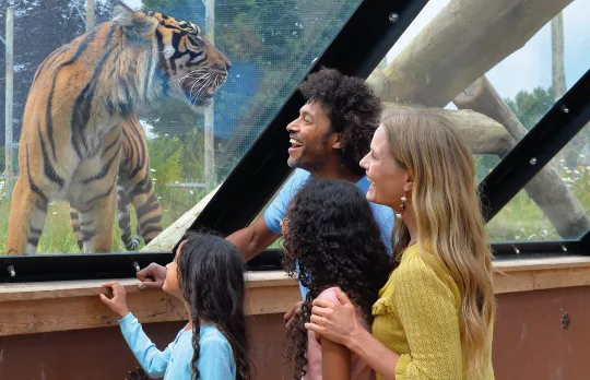 /sites/default/files/2023-08/TZ_DOWTK_animal_interaction_1.png