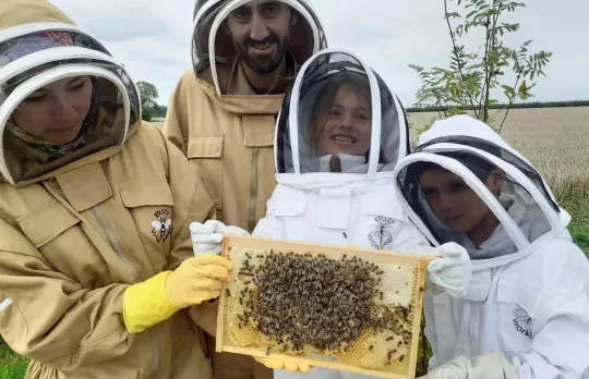 /sites/default/files/2023-10/The%20Bee%20Farmer.jpg%20-%20Large.jpg
