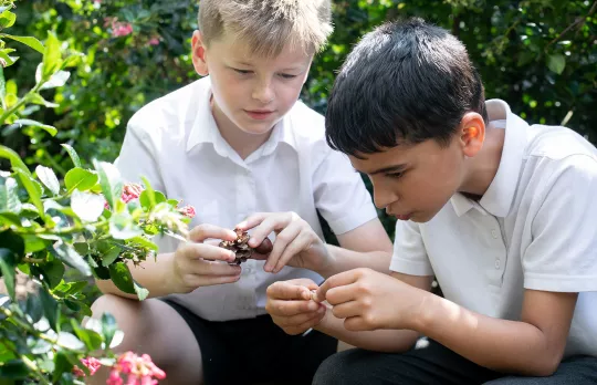 Outdoor learning 