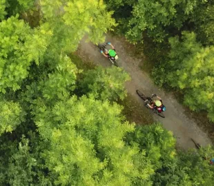 https://www.nationalforest.org/sites/default/files/styles/custom_270x216/public/2022-12/Background%20donate.jpg.webp?itok=8kSDZV9t