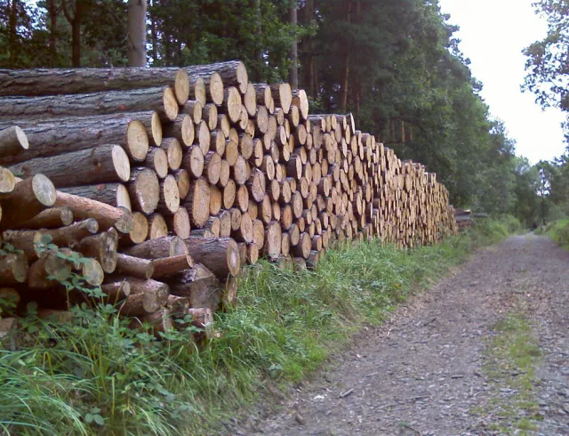 feature-image