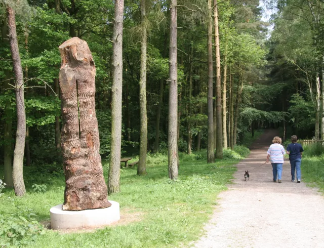 feature-image
