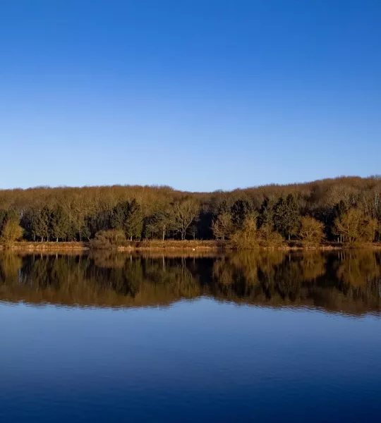Thornton Res