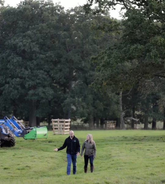 The Deer Park 