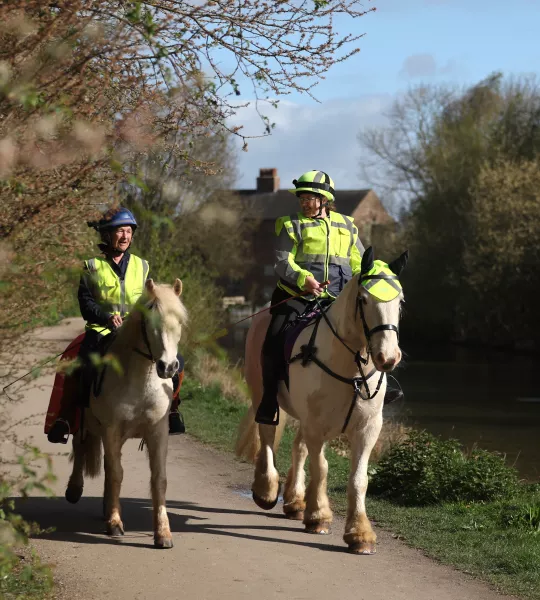 Green Network Horse Riding