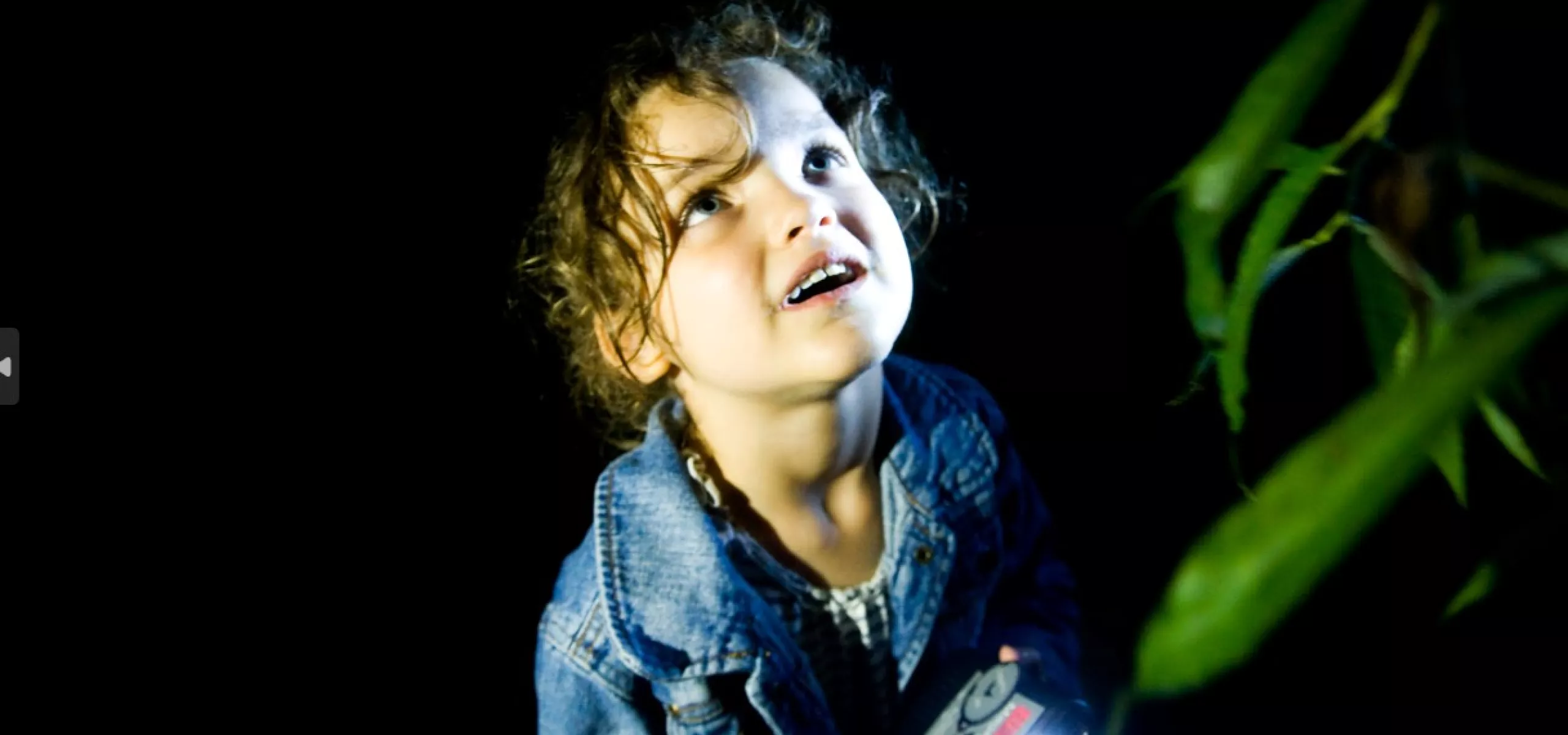 Child looking for bats at night