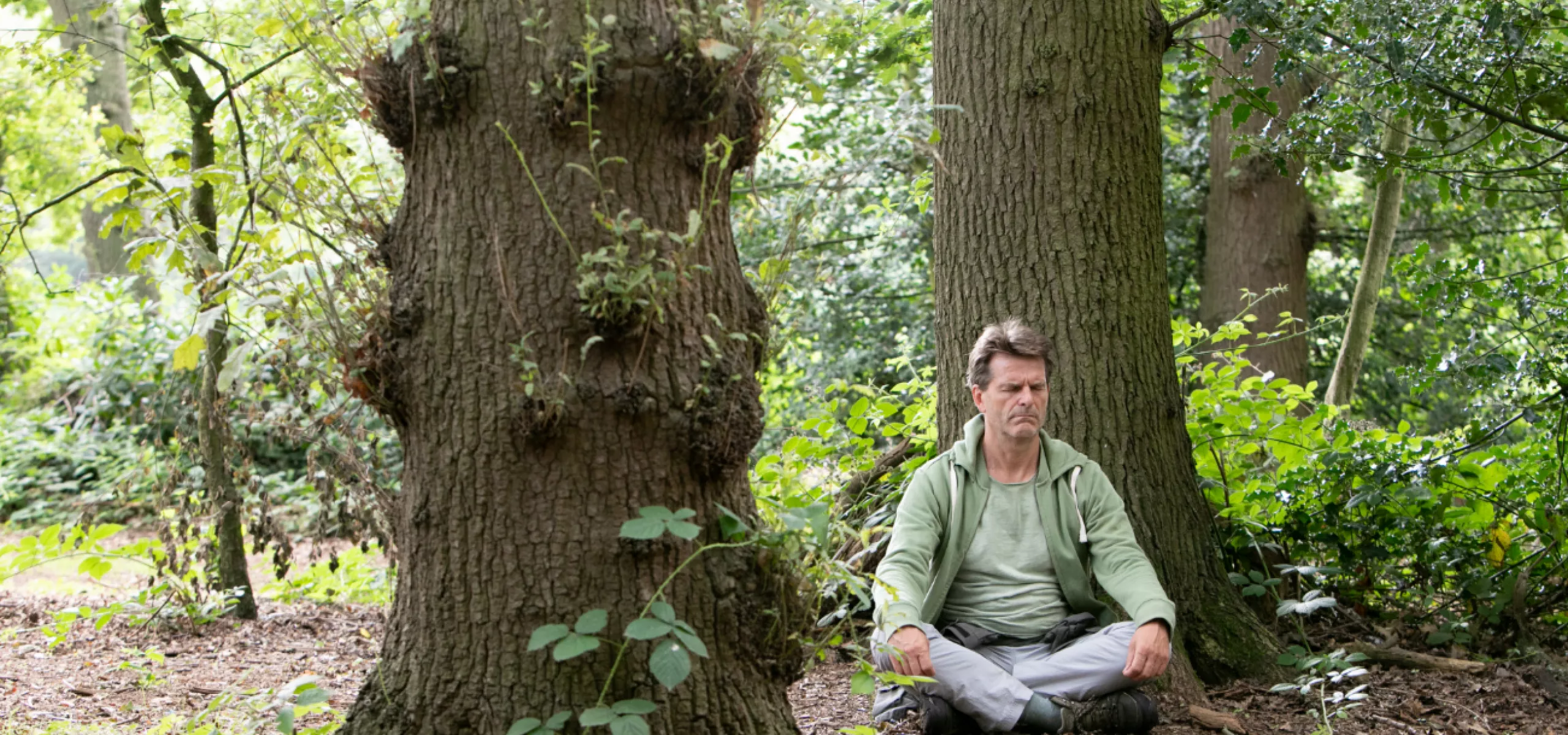 Forest Bathing
