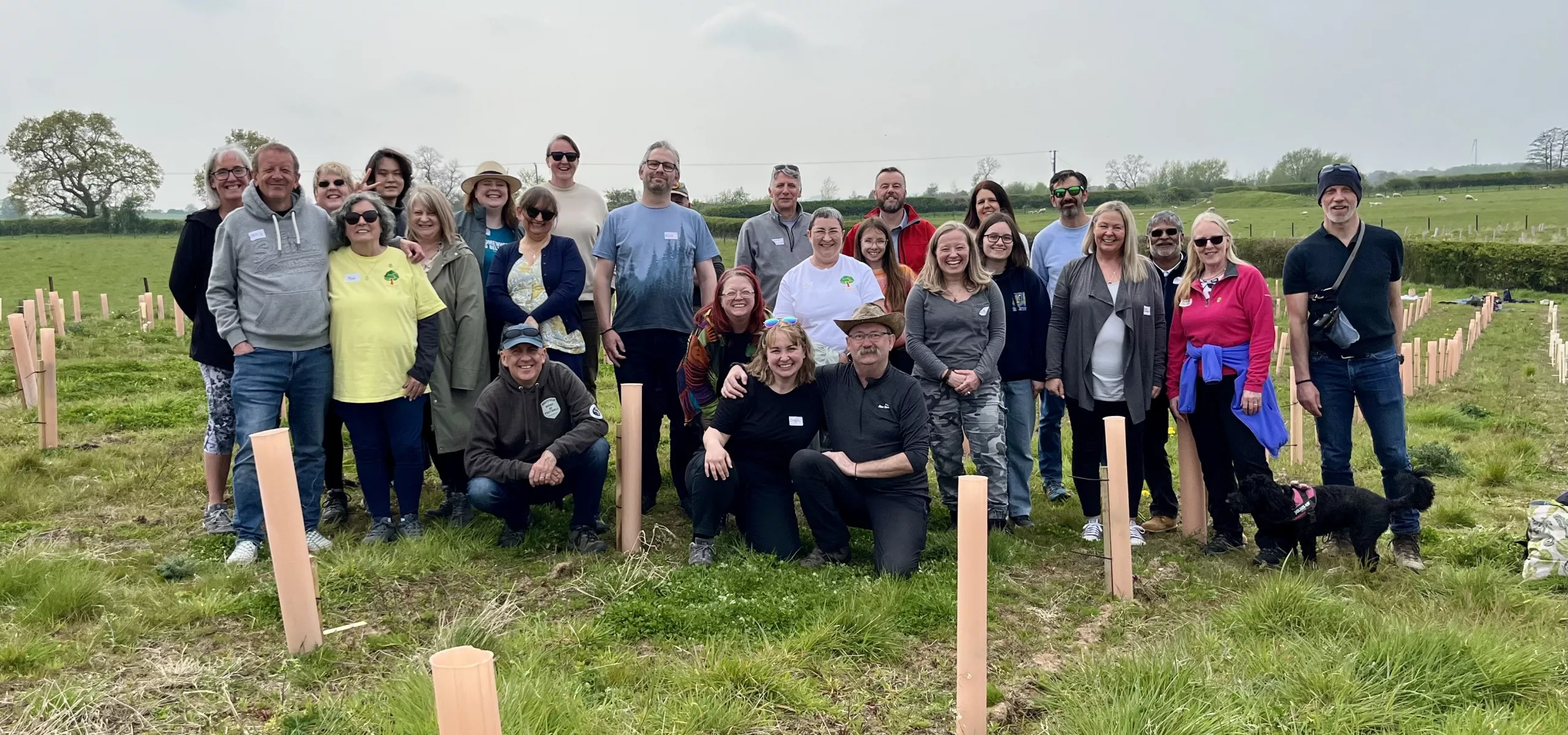 From one tree photo to a grove - IMG 6306 .webp