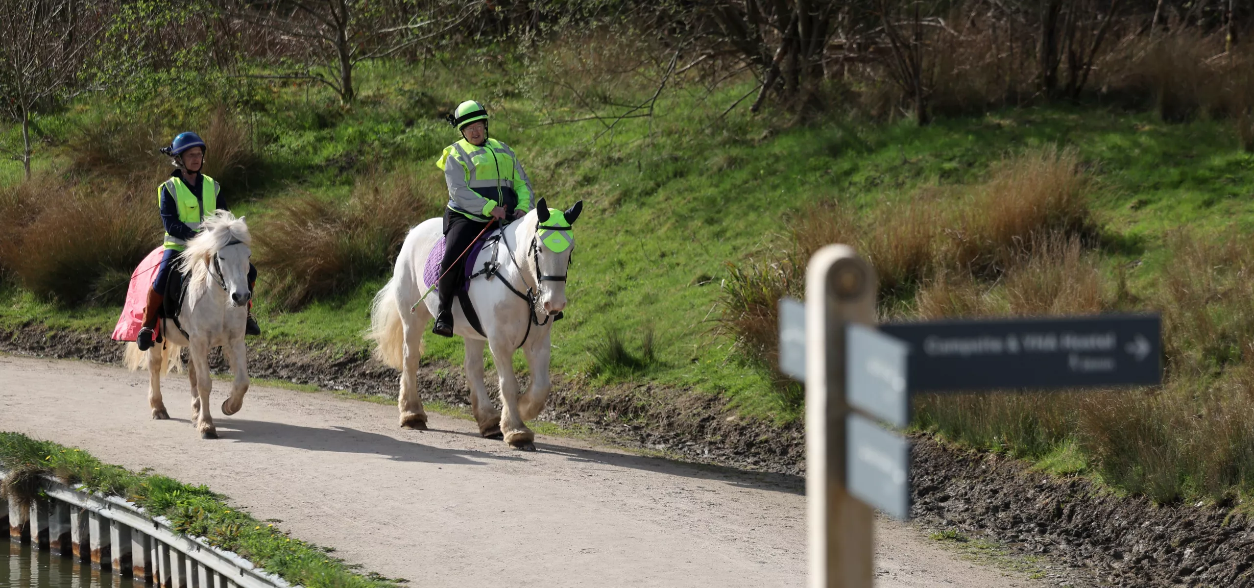 Green Network Horse Riding