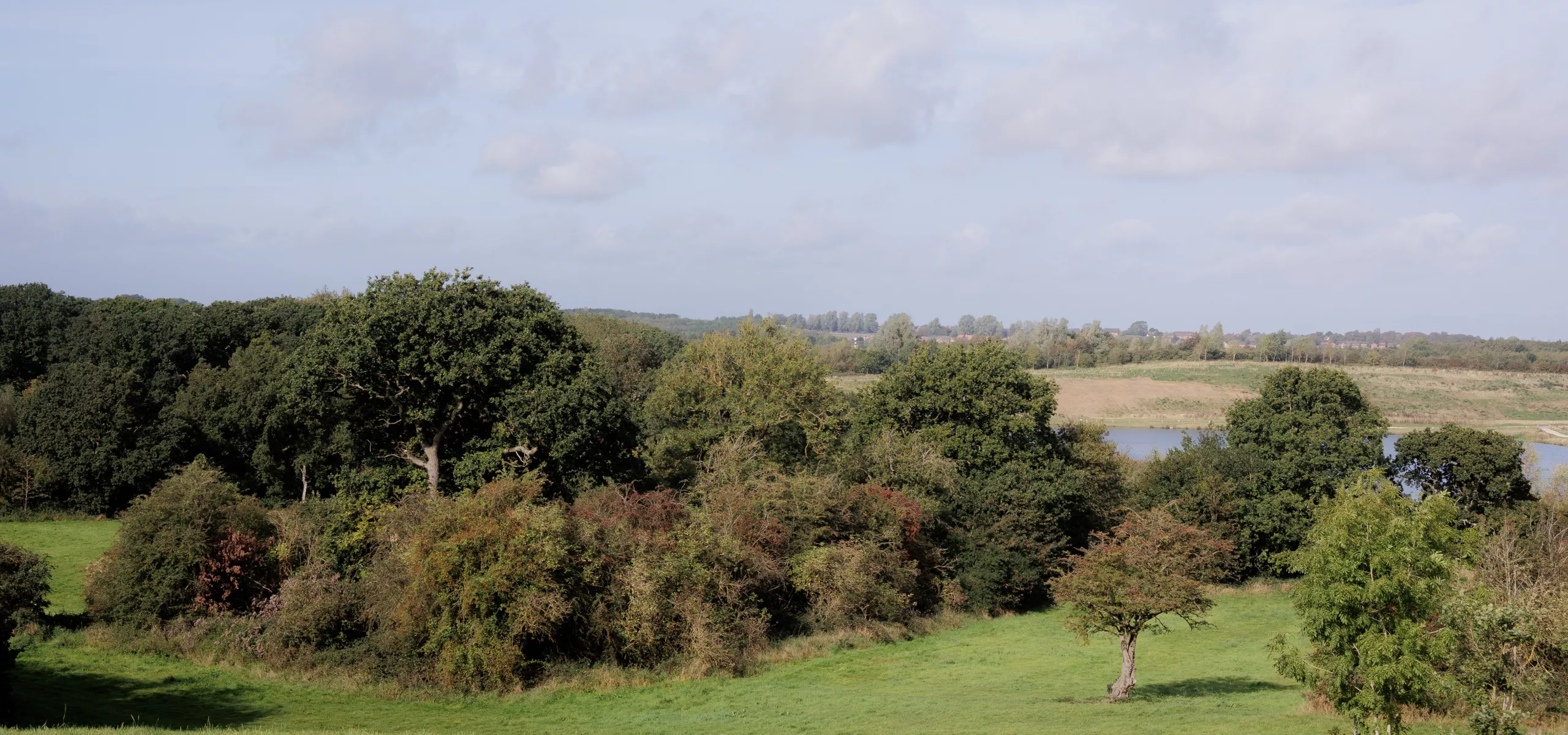 Hanging Hill