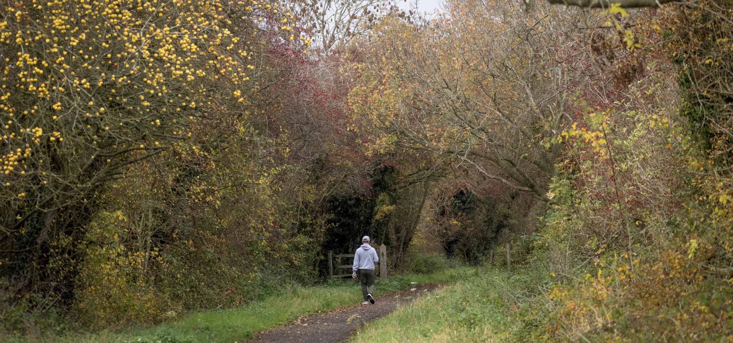 Oakthorpe