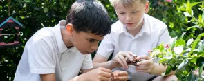 Grants for schools and education