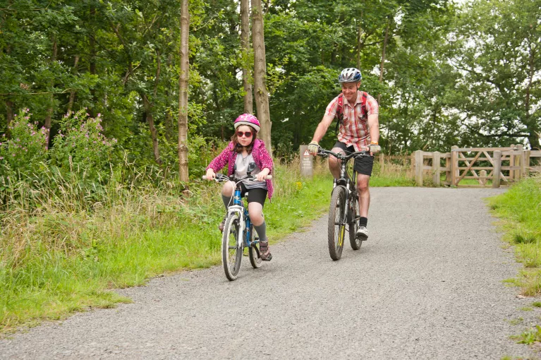 Discover Scenic Cycling Trails in the National Forest
